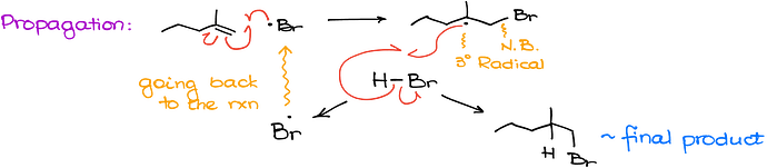 04-propagation-1536x337
